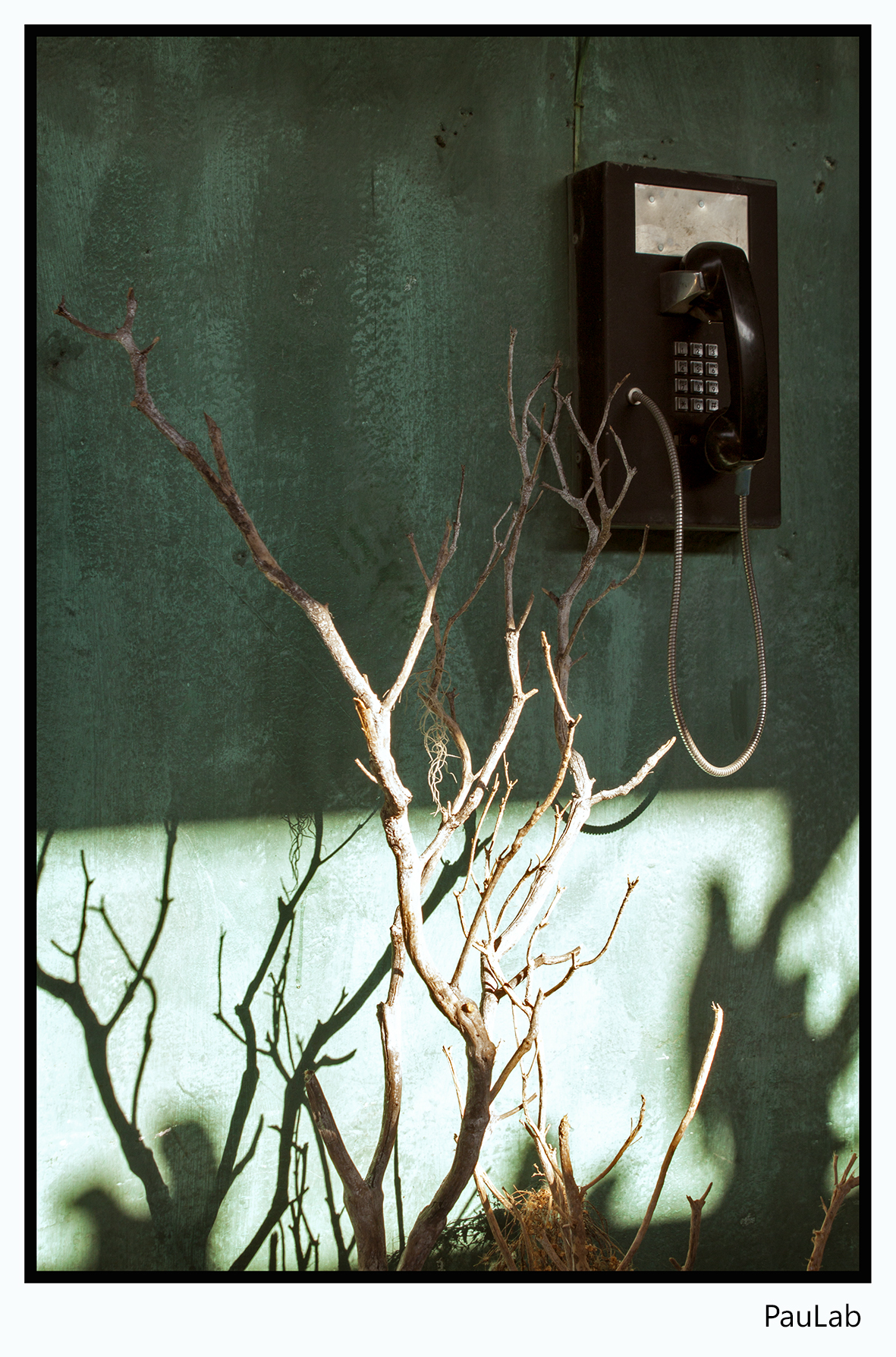 antigua phone